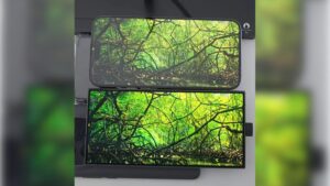 Comparación de calidad de imagen entre un iPhone y un Galaxy S24 Ultra mostrando una escena de naturaleza